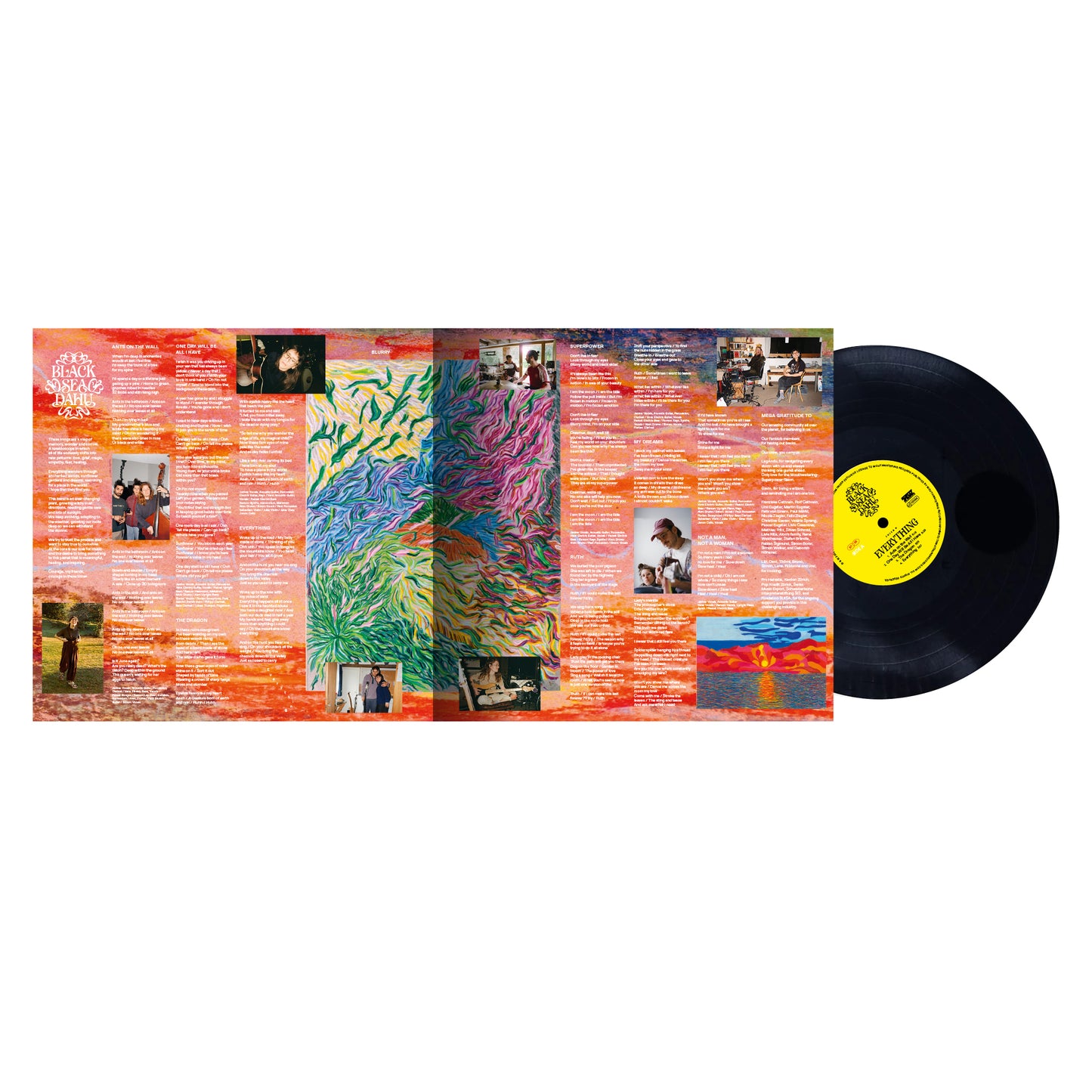Everything (LP) | Pre-order